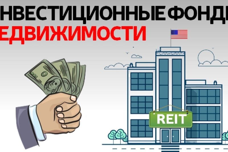 Pedro Vaz Paulo Real Estate Investment in 2025